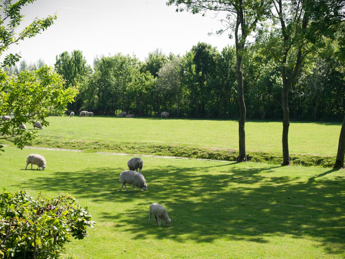 Omgeving Kortmann Logies 003