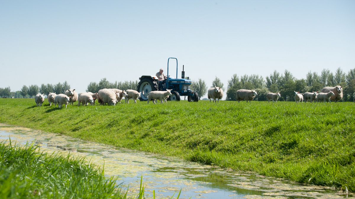 Boerderij Kortmann Logies