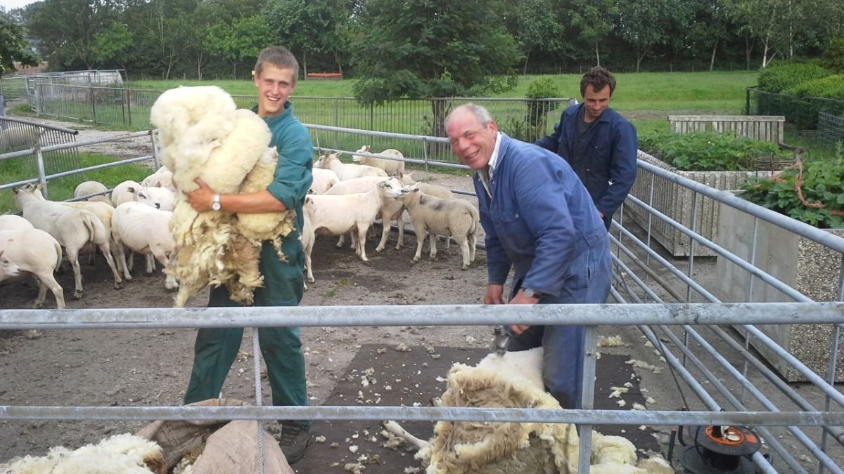 Boerderij Kortmann Logies