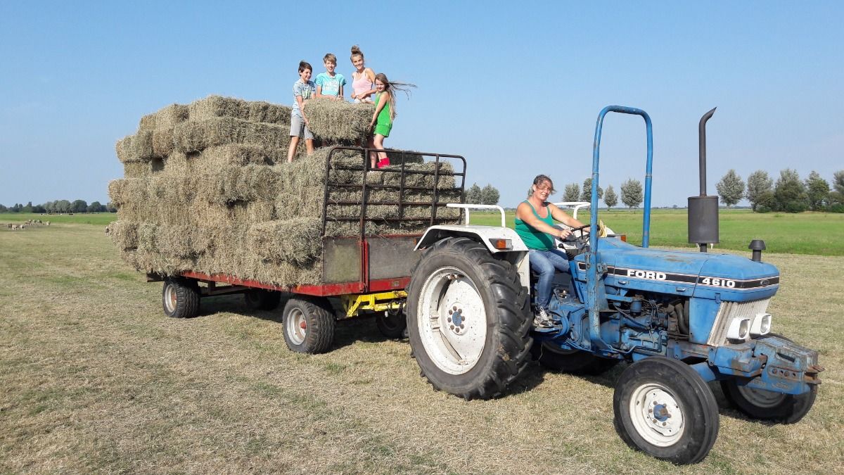 Boerderij Kortmann Logies