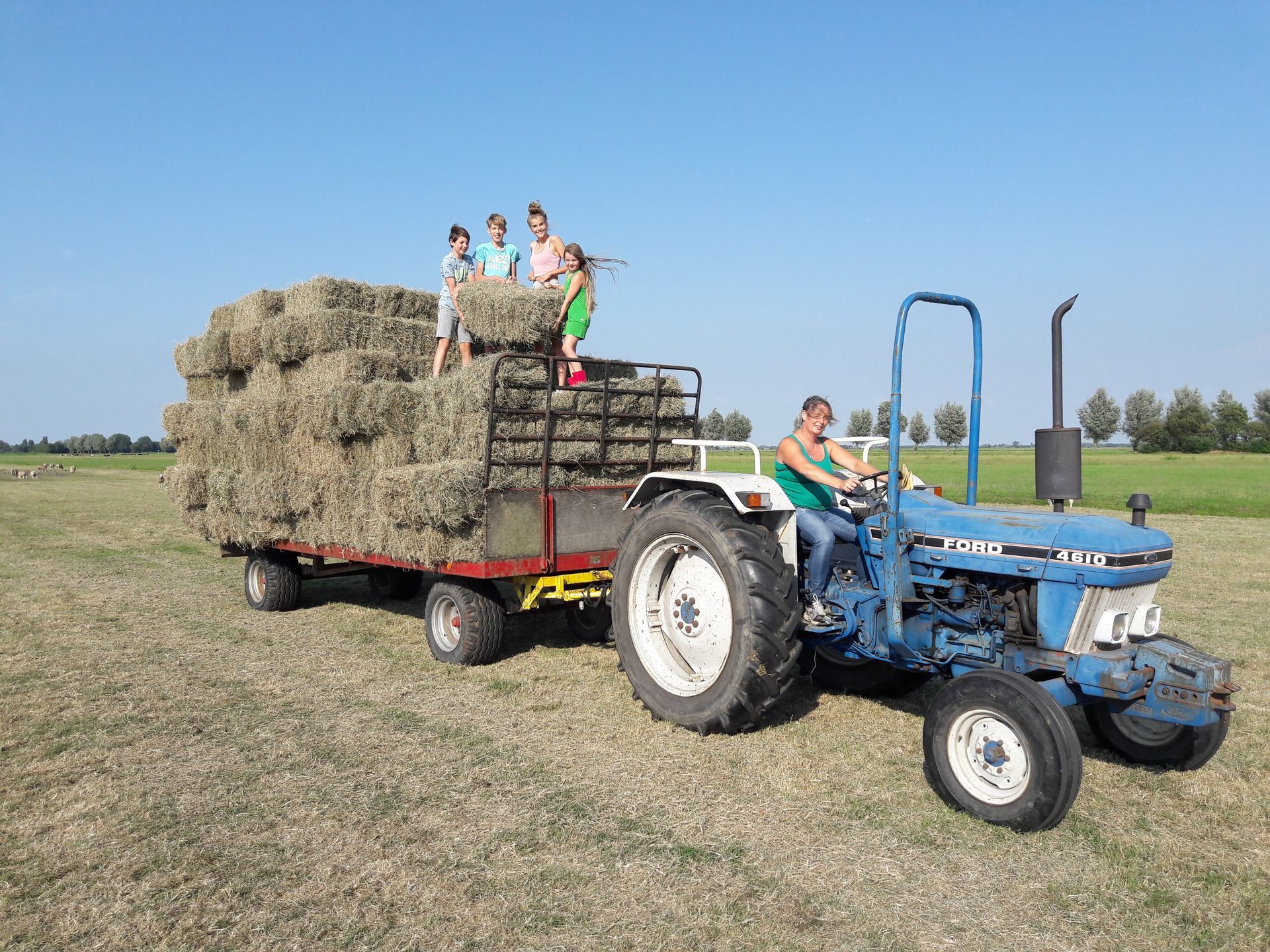 Hooiwagen met kinderen op de boerderij