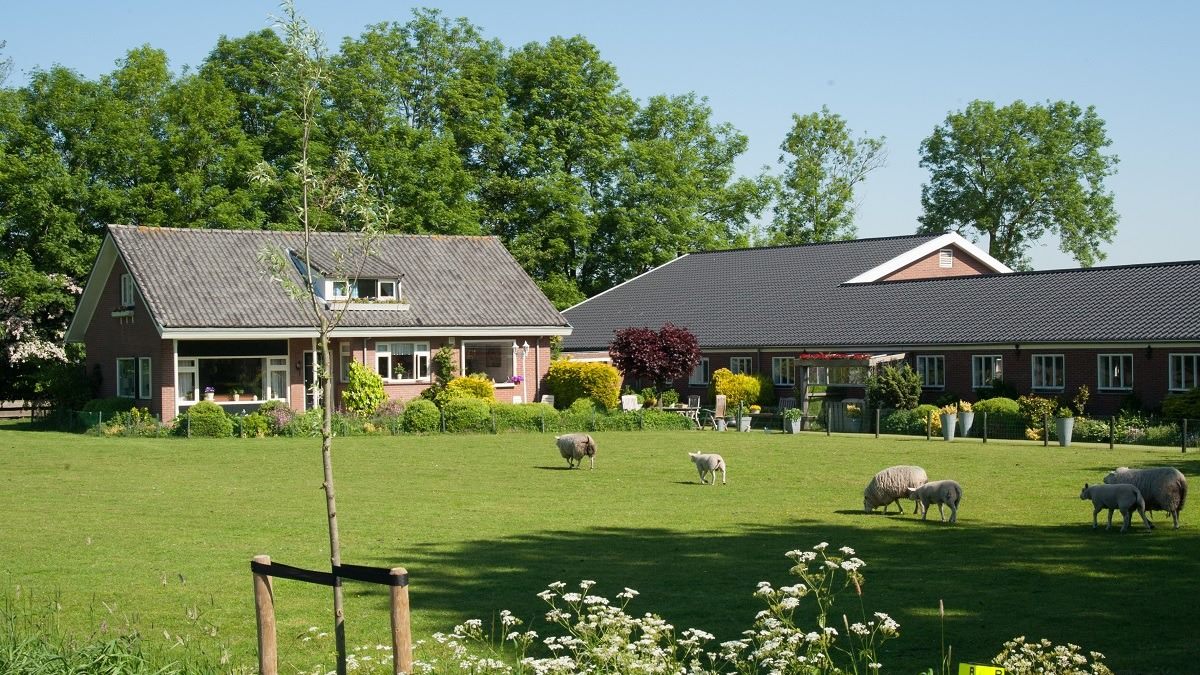 De boerderij van Kortmann Logies met schapen in de weide