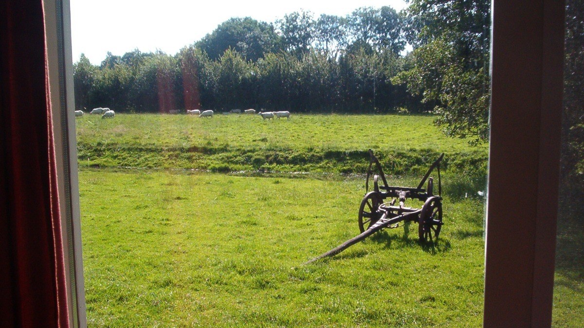 Uitzicht vanuit Polderzicht over de schapenweide