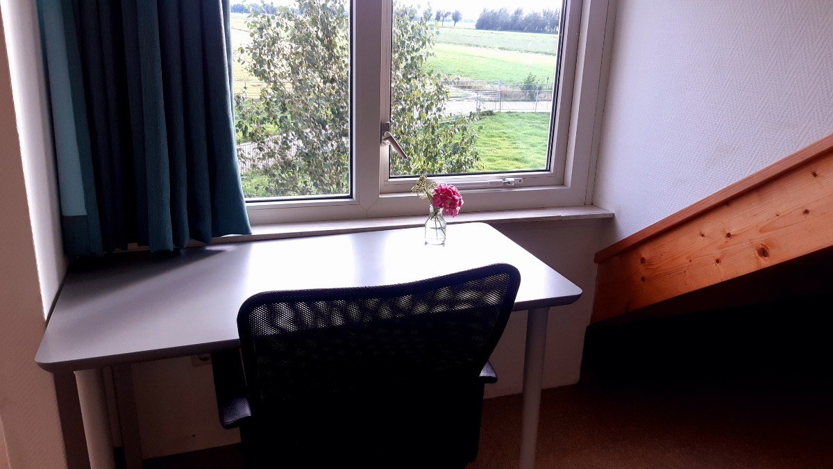 Werkplek in Polderzicht met uitzicht op het weiland