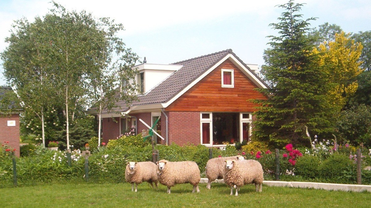 Vooraanzicht van Weidezicht met schapen in de voortuin